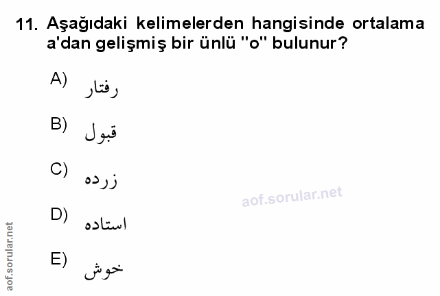 Soru 11