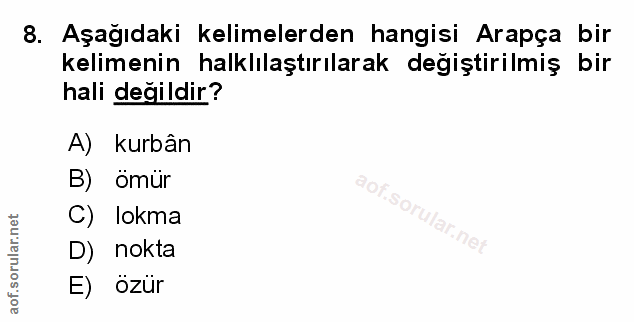 Soru 8
