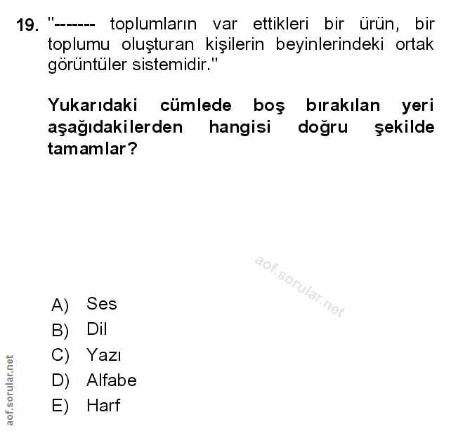 Soru 19