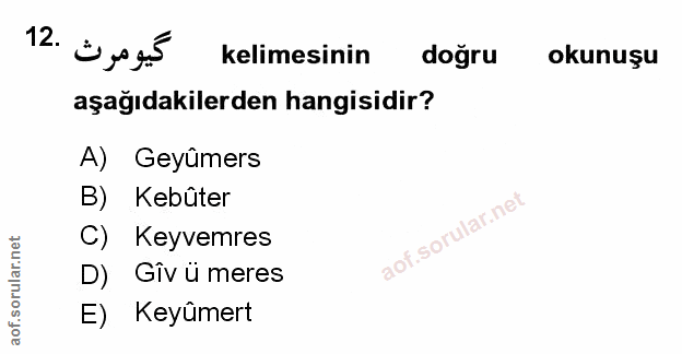 Soru 12