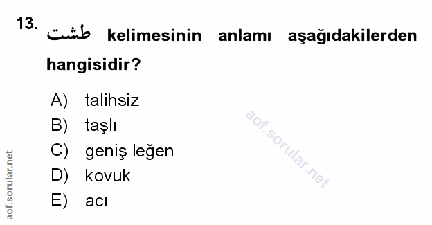 Soru 13