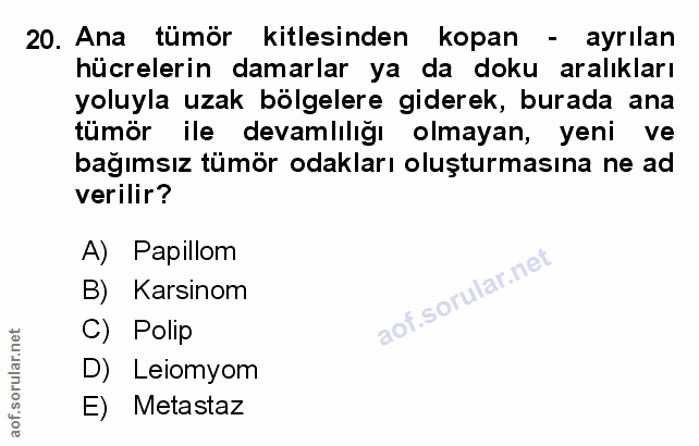 Soru 20