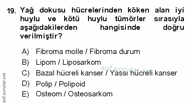 Soru 19
