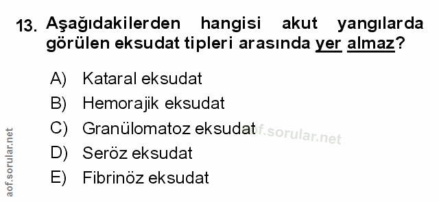 Soru 13