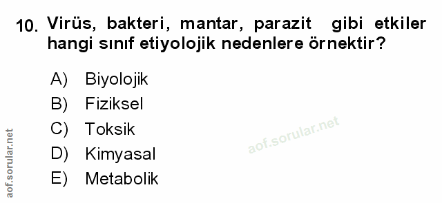 Soru 10