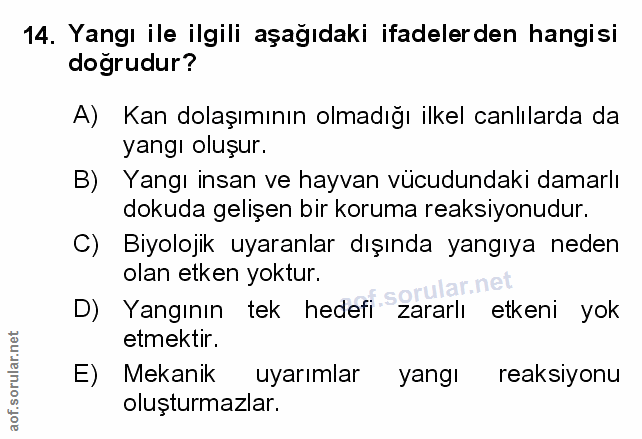 Soru 14
