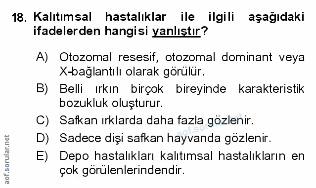 Soru 18