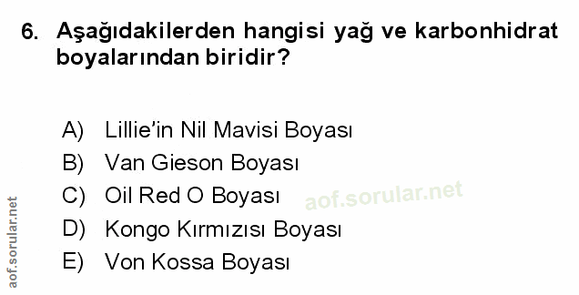 Soru 6