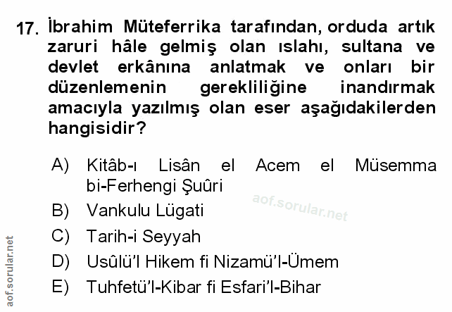 Soru 17