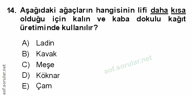 Soru 14