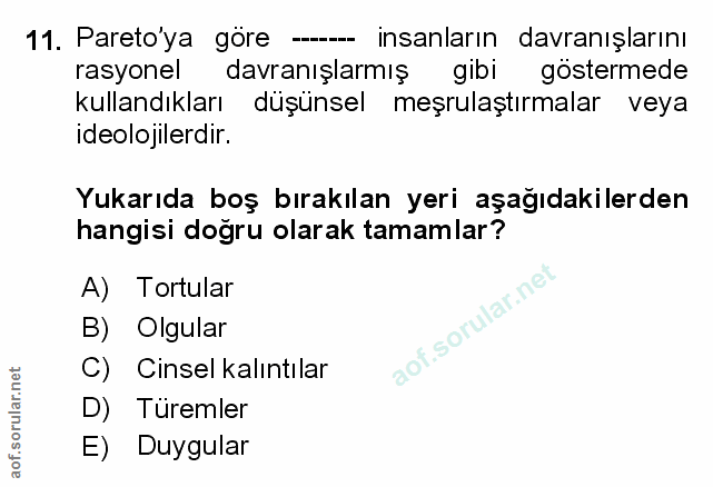 Soru 11