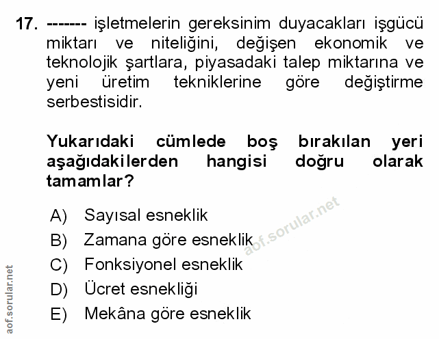 Soru 17