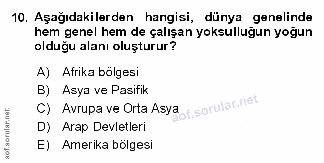 Soru 10