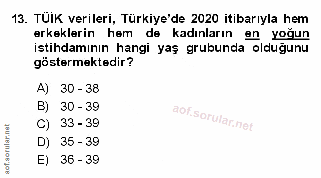 Soru 13