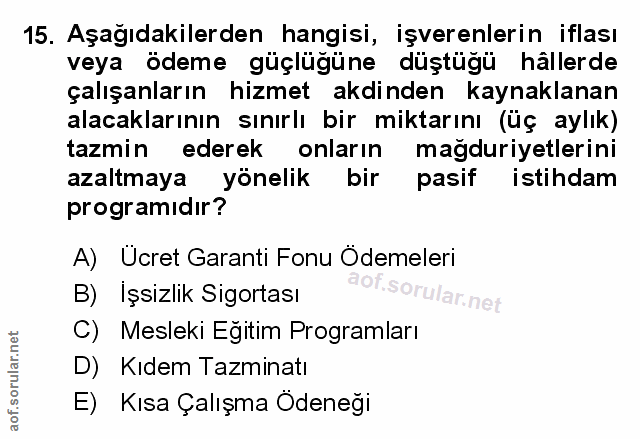 Soru 15
