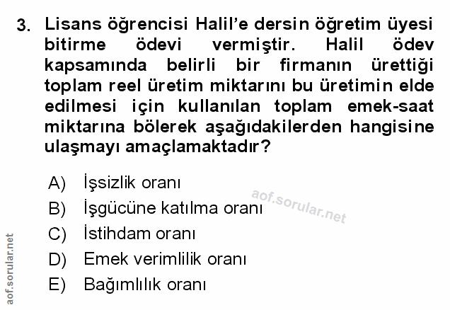 Soru 3