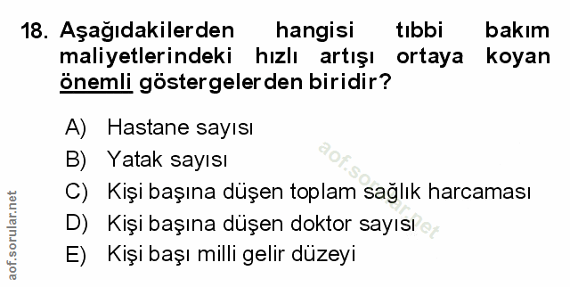 Soru 18