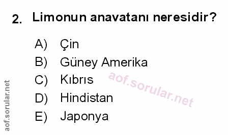 Soru 2