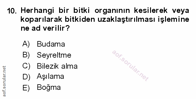 Soru 10