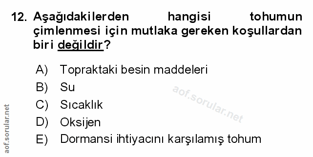 Soru 12