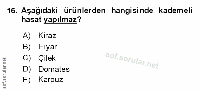 Soru 16