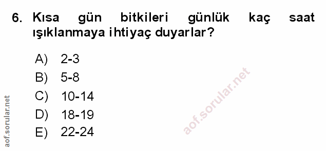 Soru 6