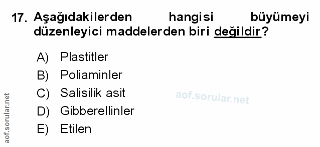 Soru 17