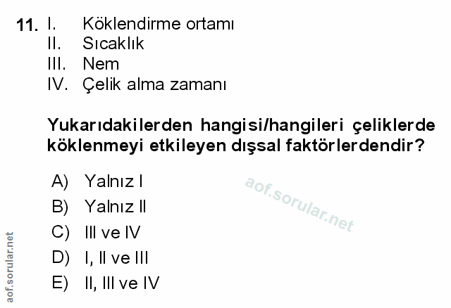 Soru 11
