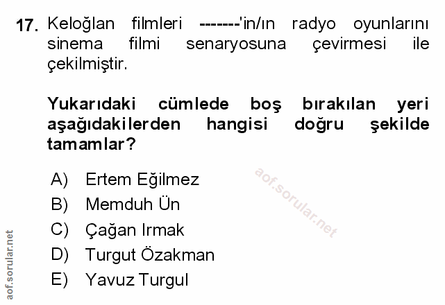 Soru 17