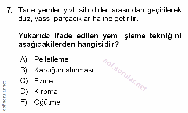 Soru 7