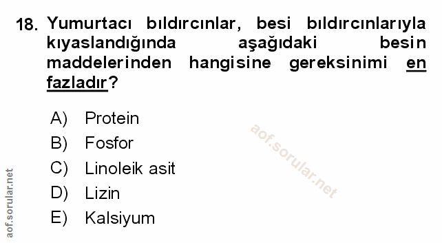 Soru 18