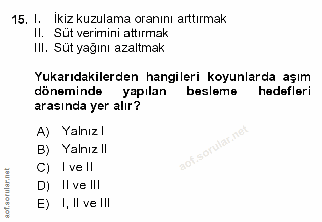 Soru 15