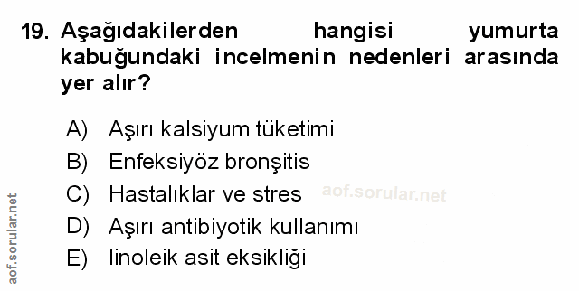 Soru 19