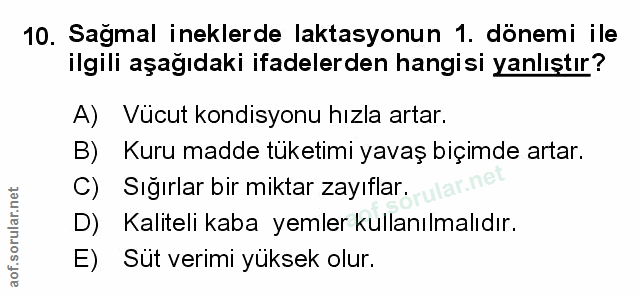 Soru 10