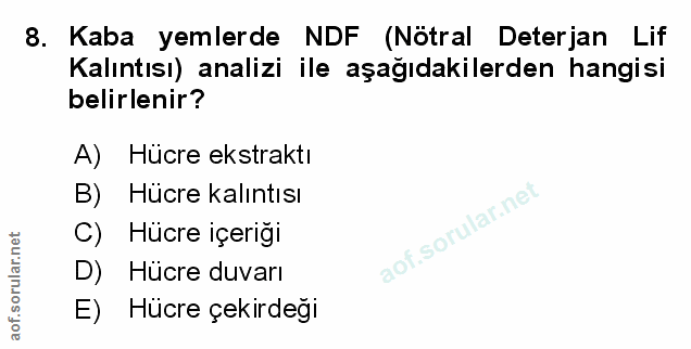 Soru 8