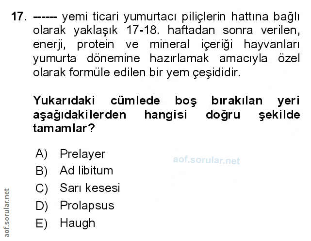 Soru 17