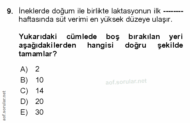 Soru 9