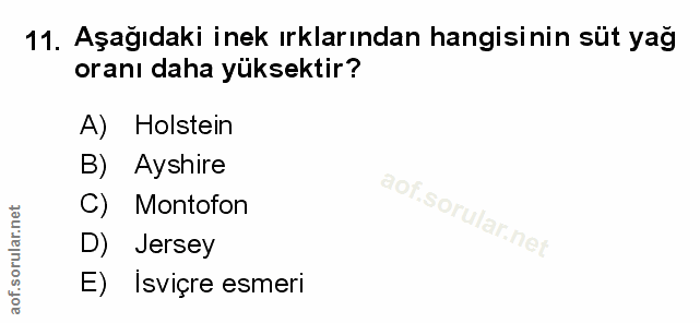 Soru 11