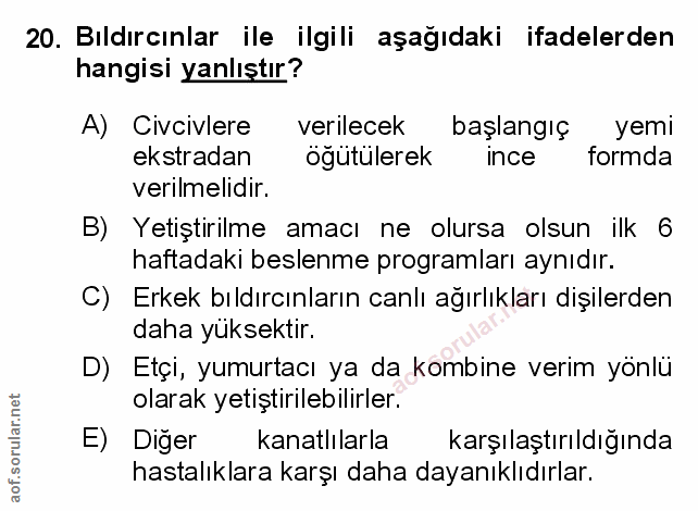 Soru 20