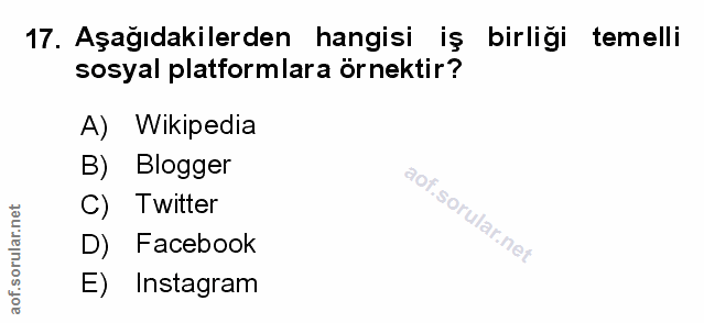 Soru 17