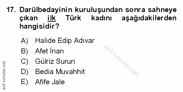 Soru 17