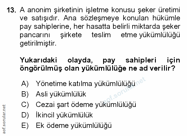 Soru 13