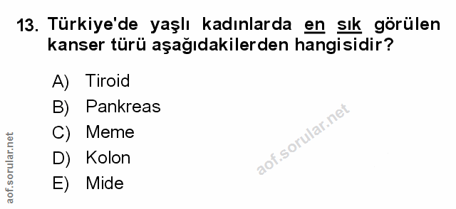 Soru 13