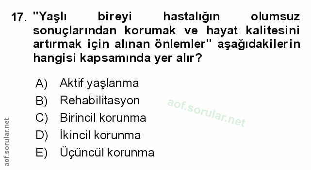Soru 17