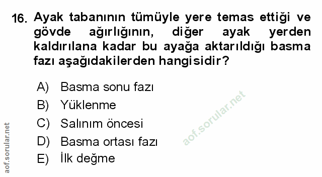Soru 16