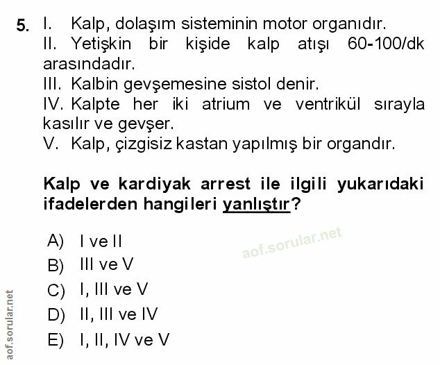Soru 5