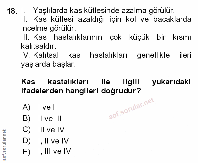 Soru 18