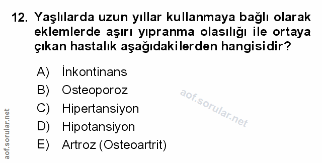 Soru 12