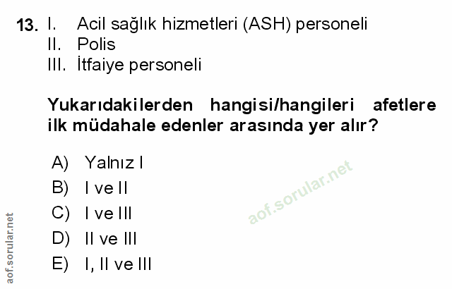 Soru 13