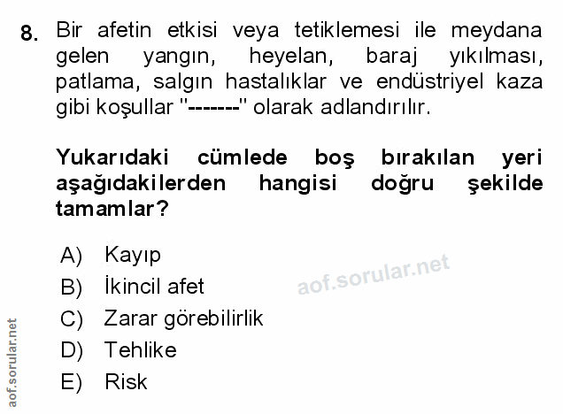 Soru 8